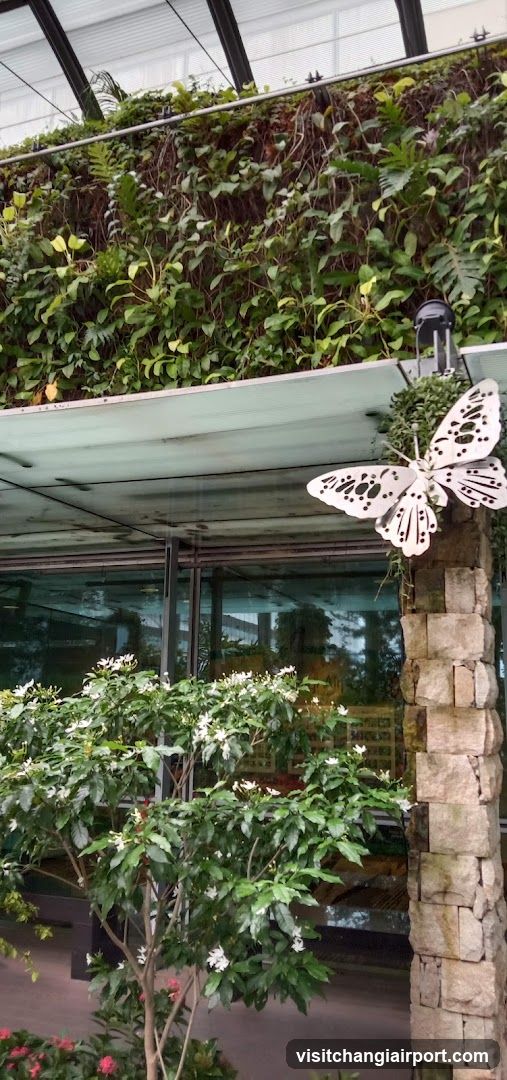 Greenery and Butterfly Decor