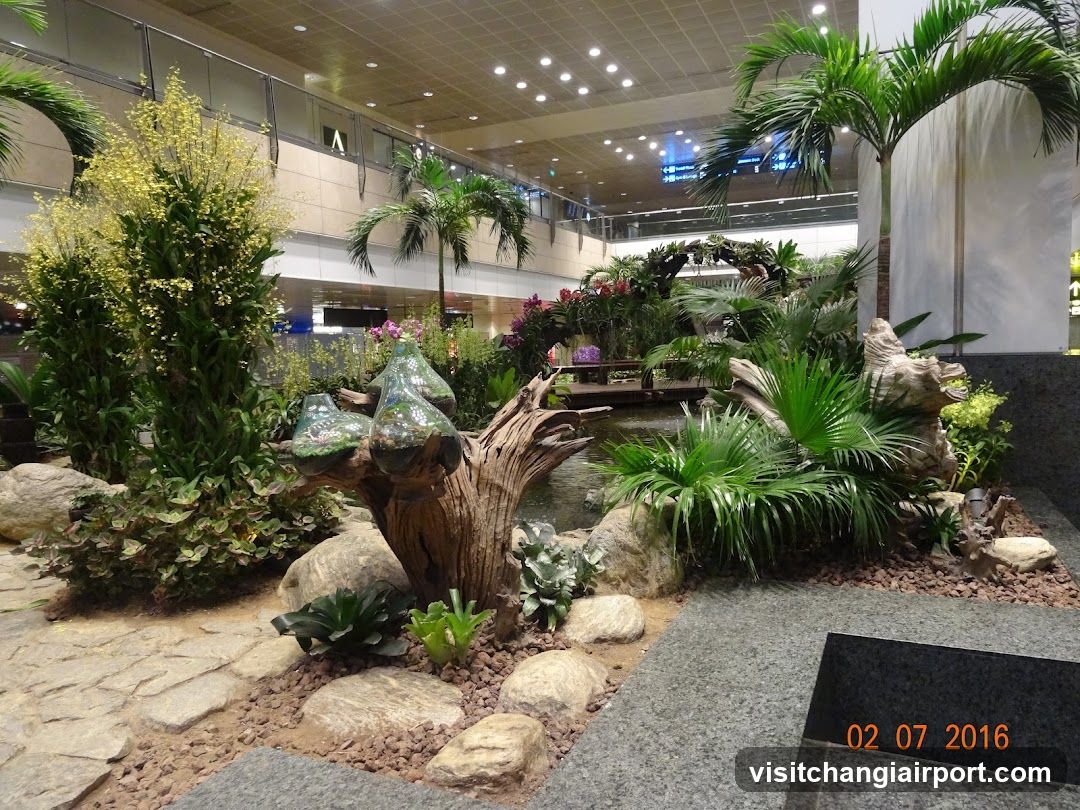 Indoor Garden Display
