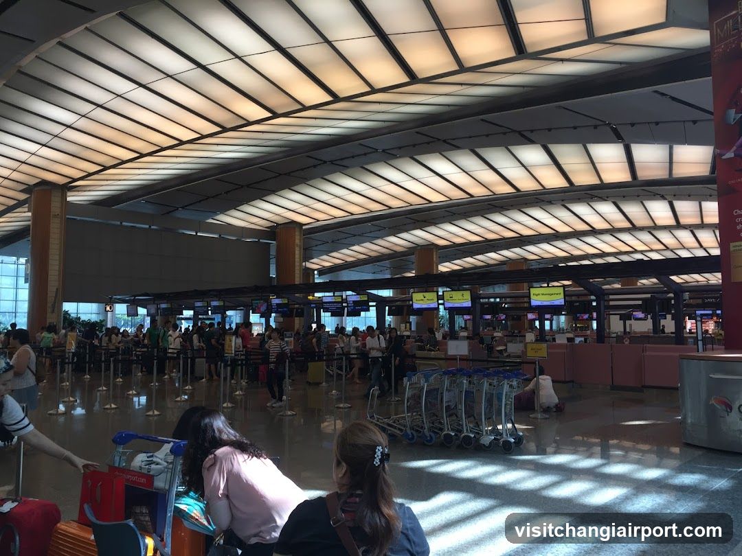 Airport Check-in Hall Interior