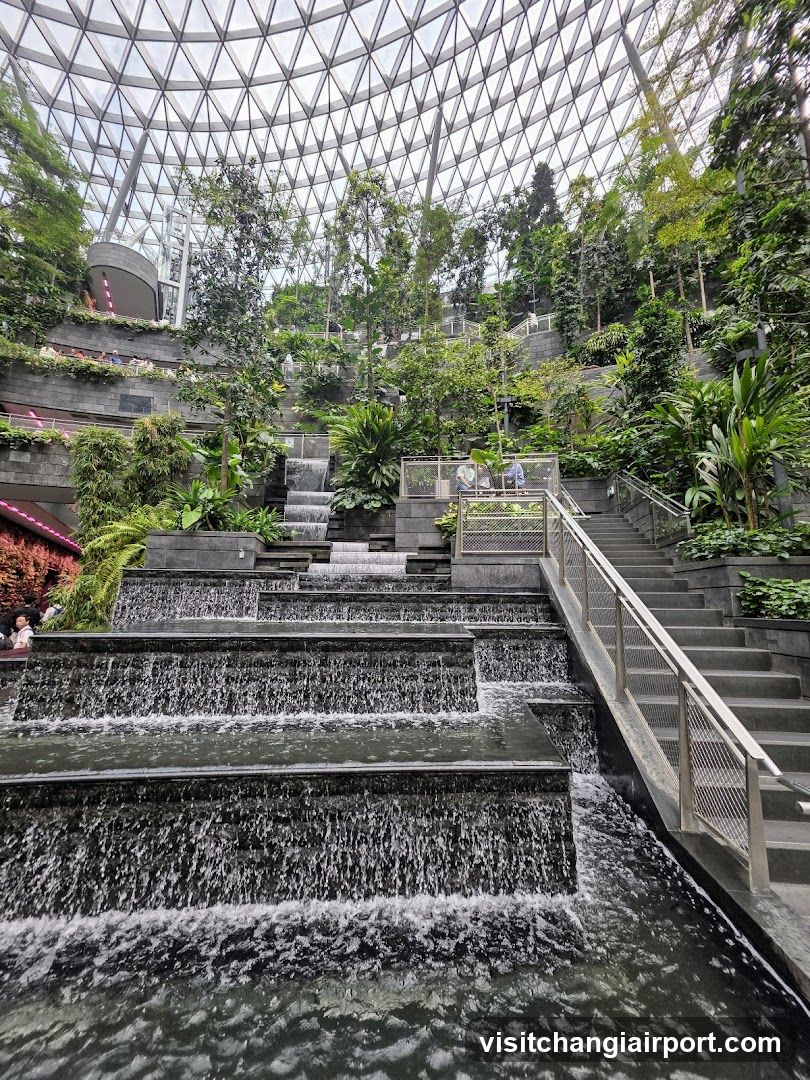 Indoor Waterfall Garden