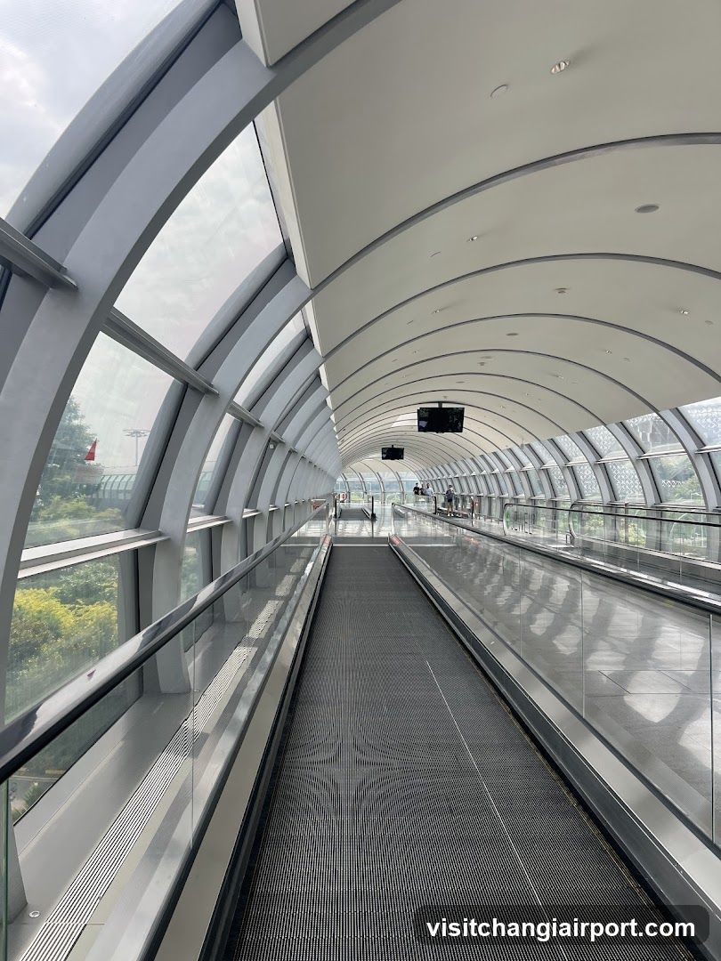 Airport Walkway Interior