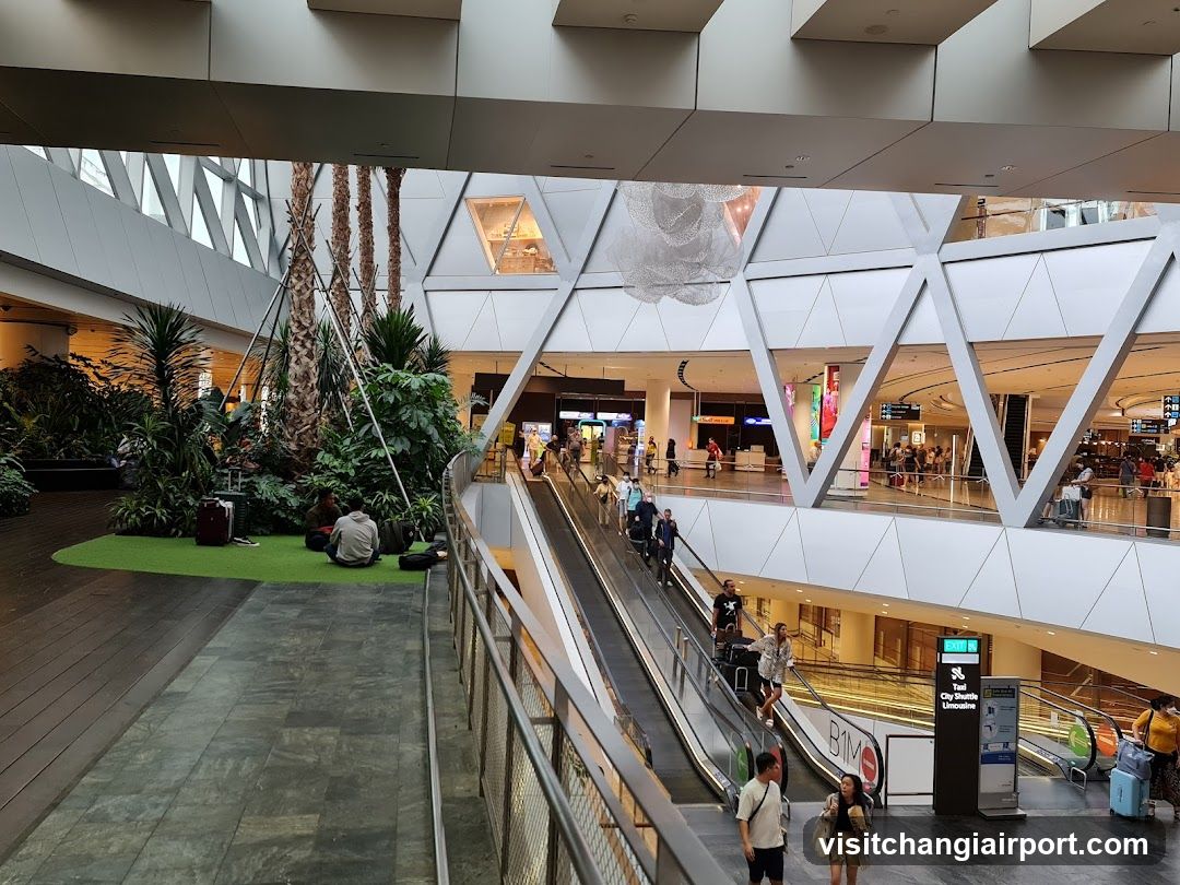 Airport Terminal Interior with Escalators and Greenery