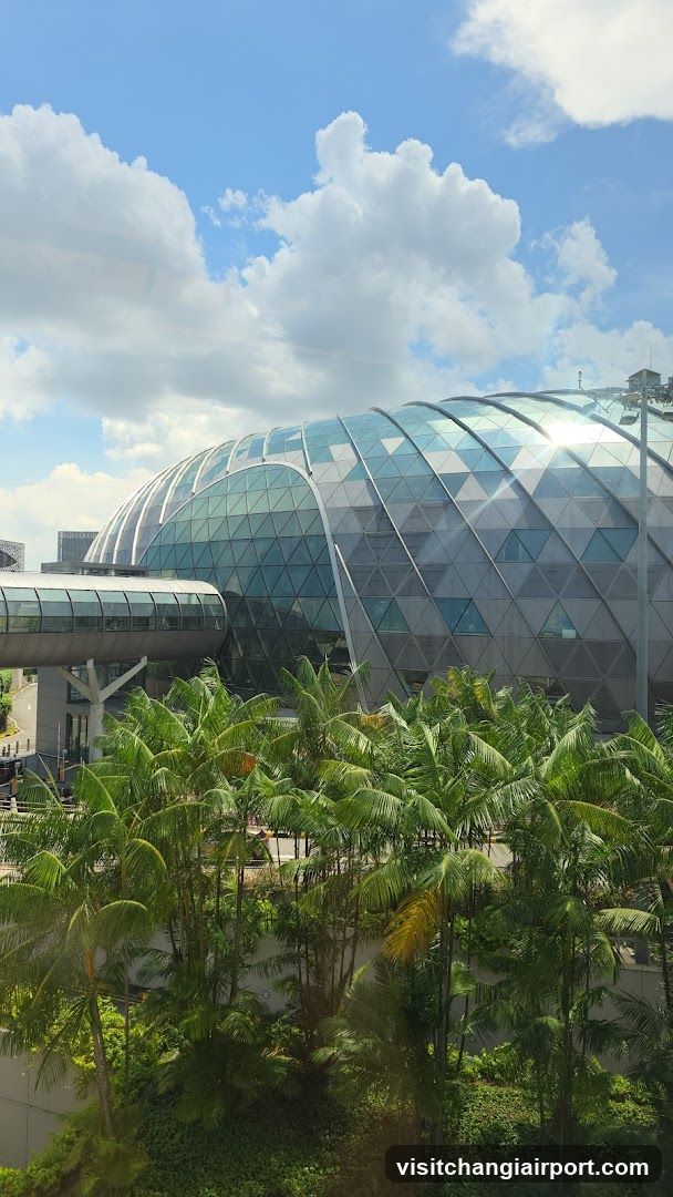 Glass Dome Building with Palm Trees