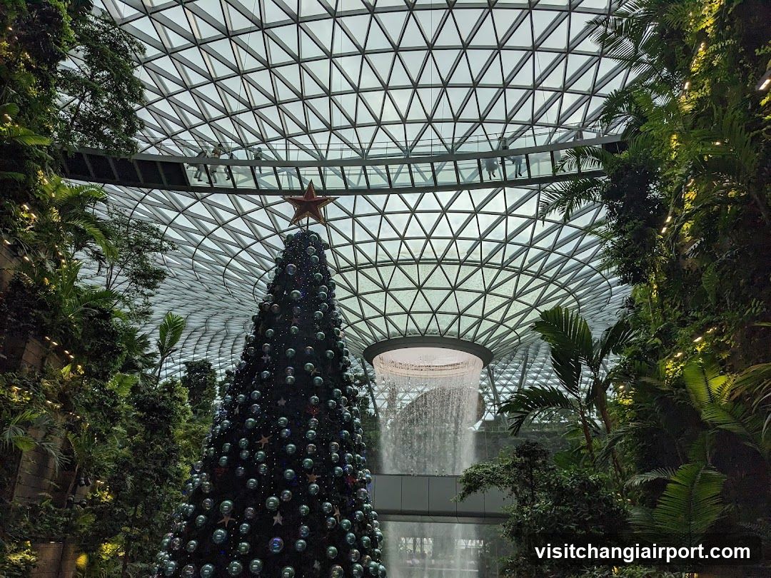 Christmas Tree in a Tropical Setting