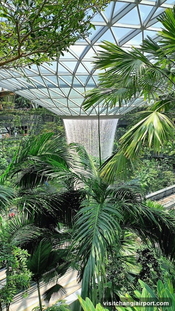 Indoor Tropical Garden with Waterfall