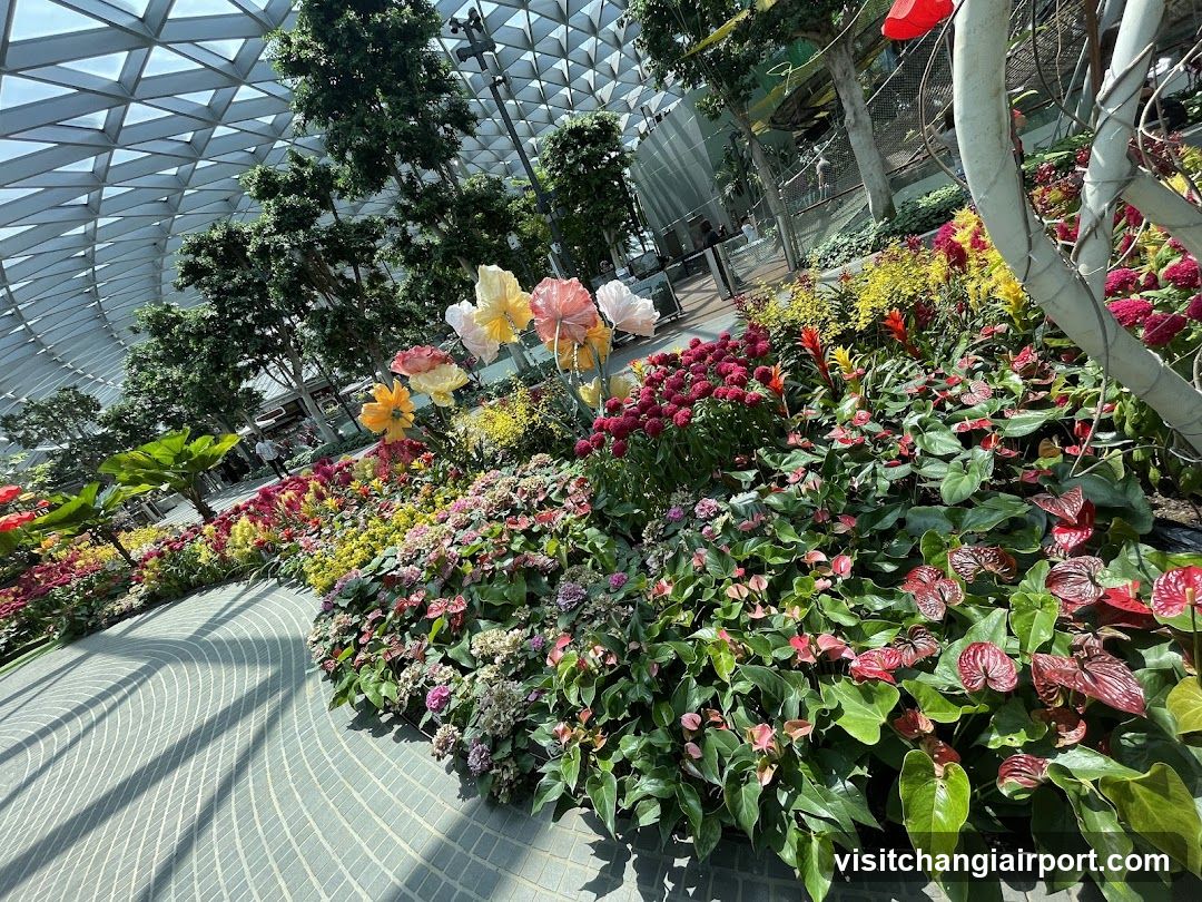 Flower Garden in Greenhouse