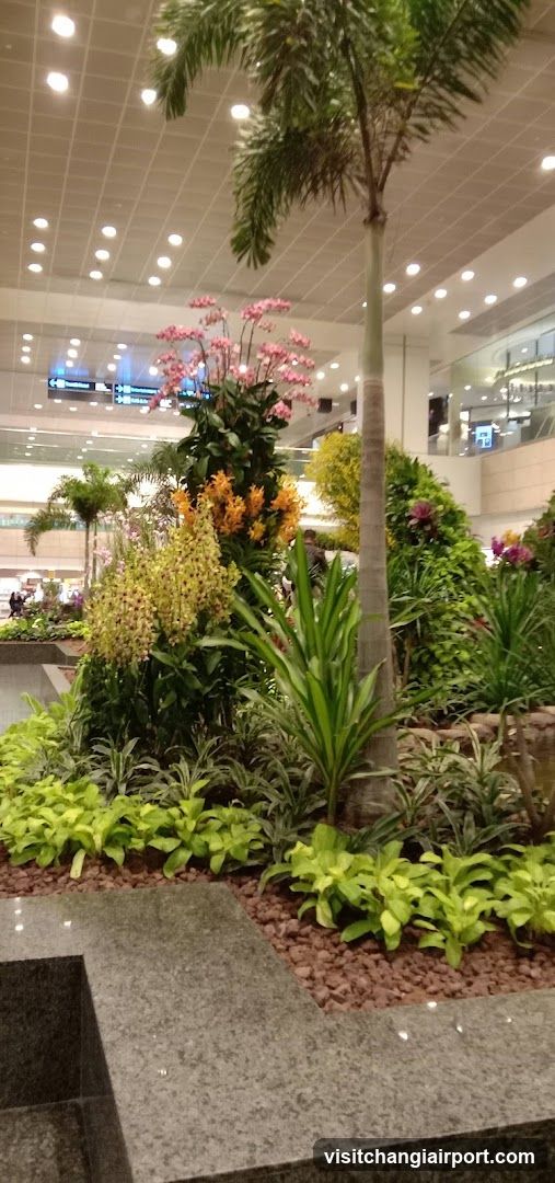 Indoor Garden Display