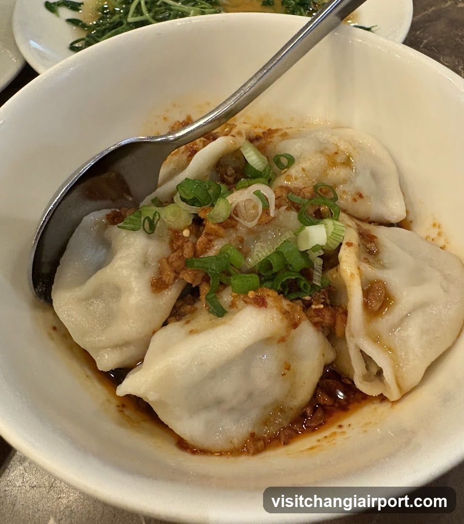 Dumplings with Sauce and Scallions