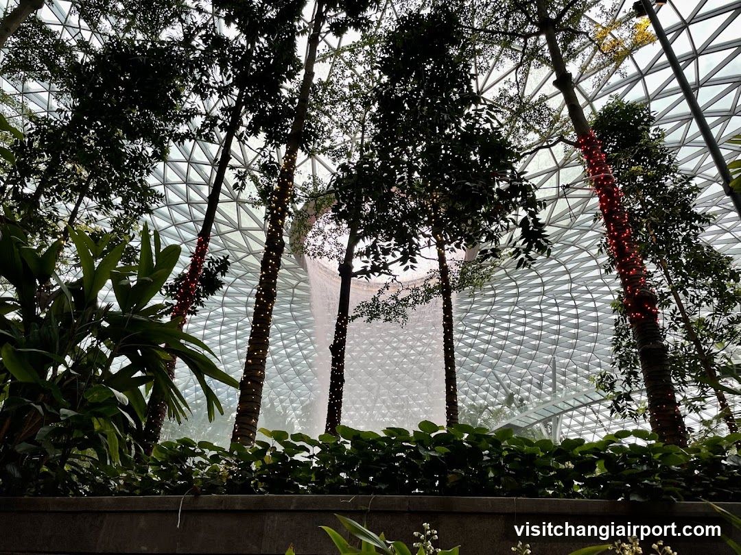 Indoor Garden with Geometric Roof