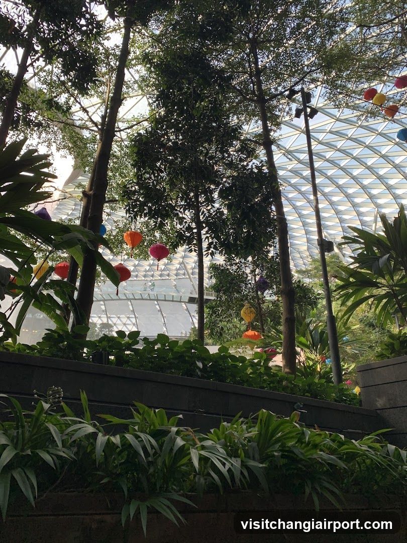Indoor Garden with Lanterns