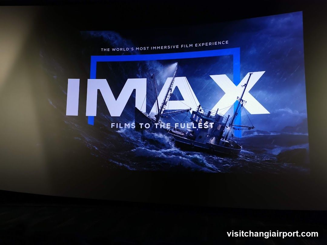 IMAX Film Experience Poster