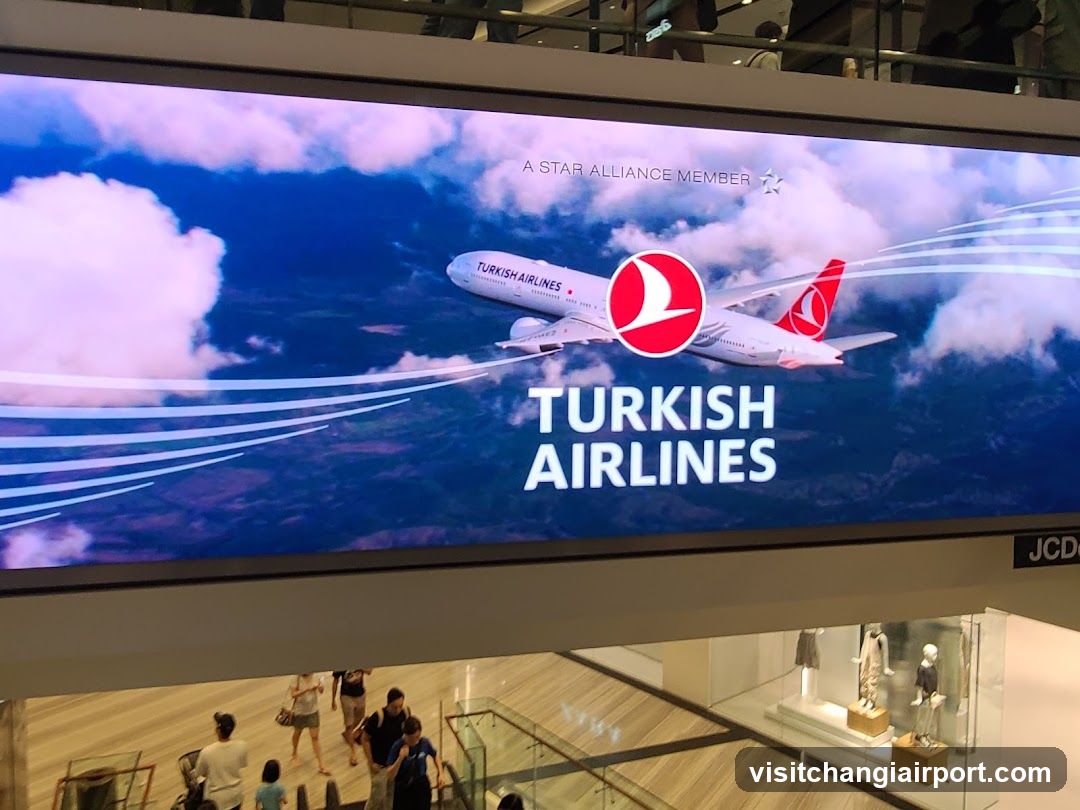 Turkish Airlines Advertisement