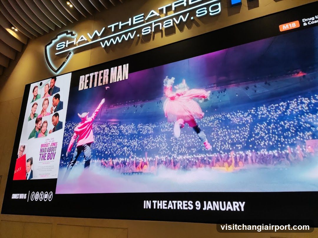 Movie Poster Display