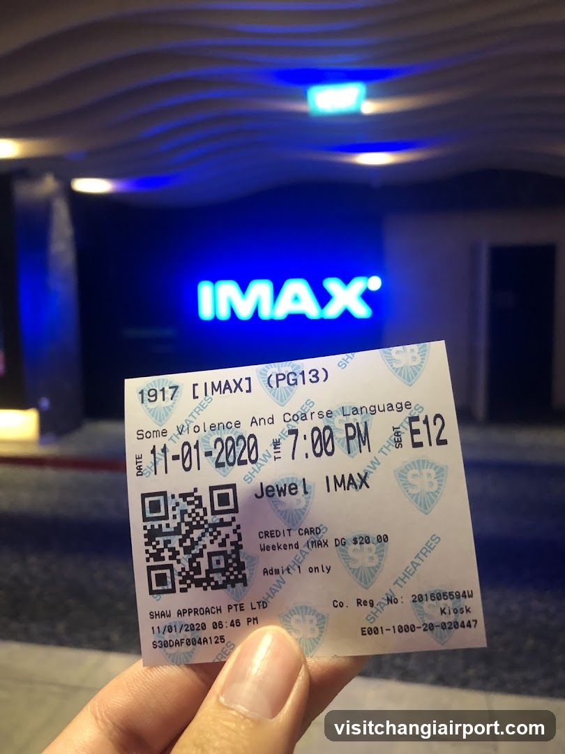 IMAX Ticket and Entrance