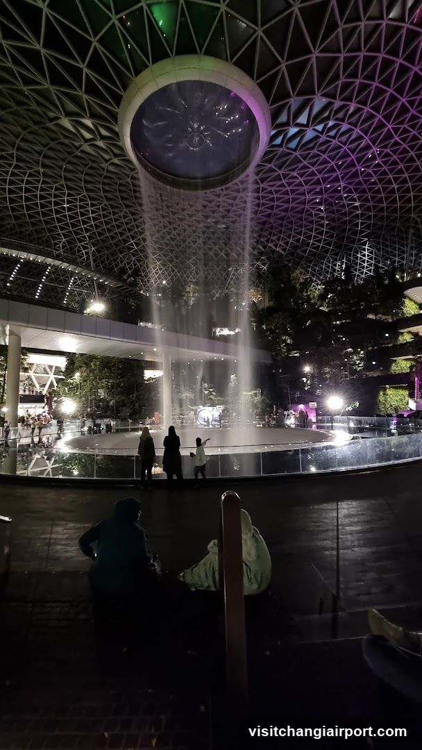 Singapore Garden at Night