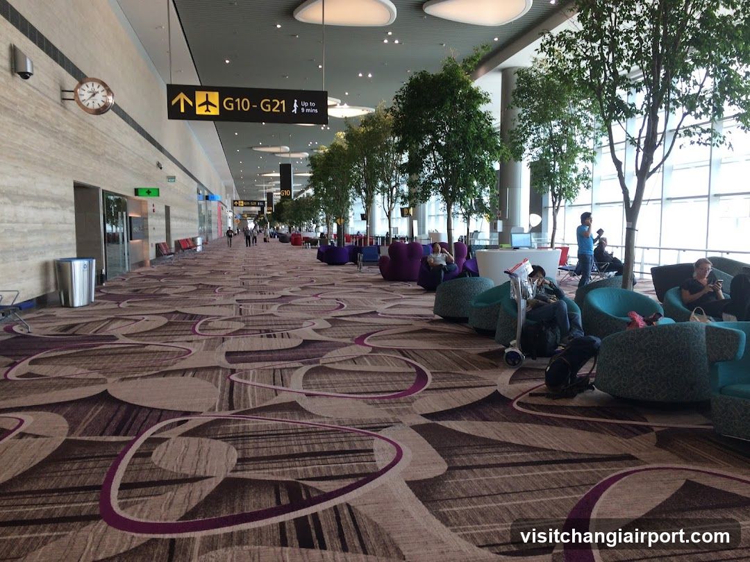 Airport Terminal Interior