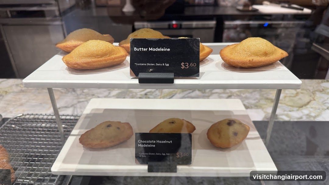 Bakery Display Case