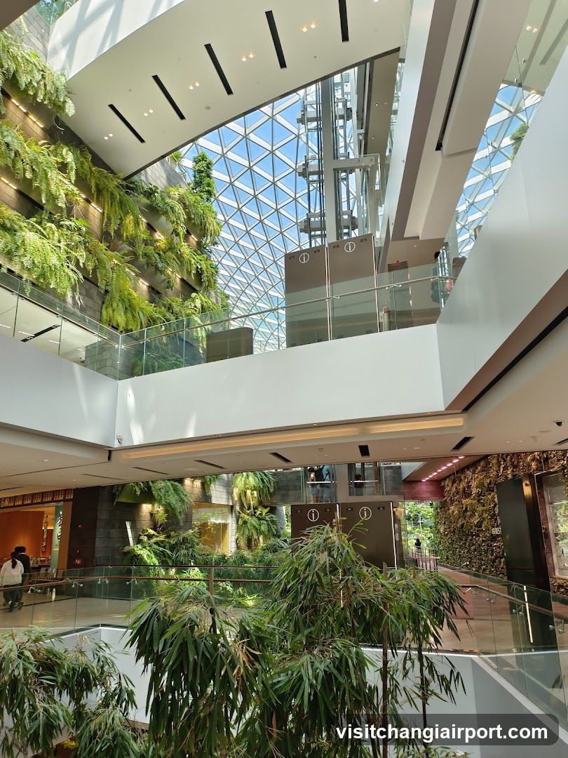 Indoor atrium with greenery and glass ceiling