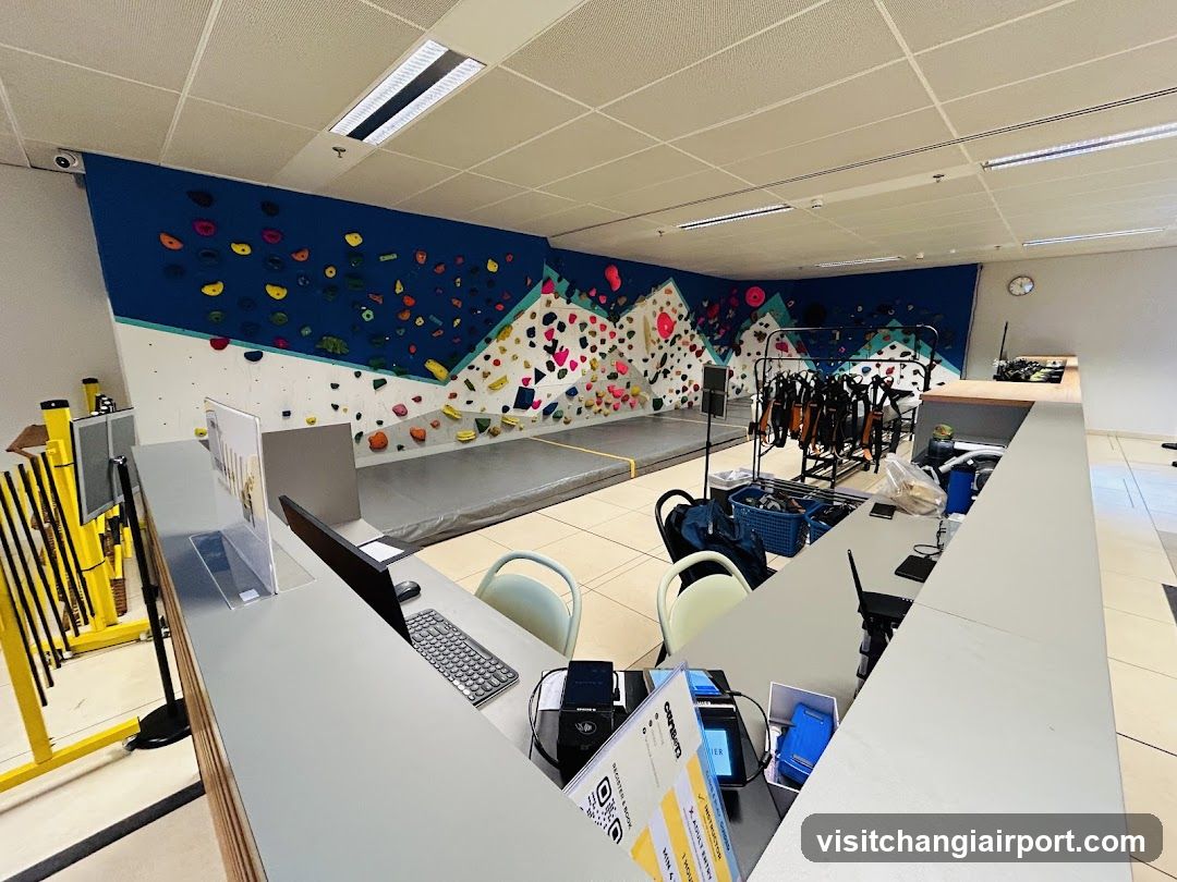 Indoor Climbing Gym Interior