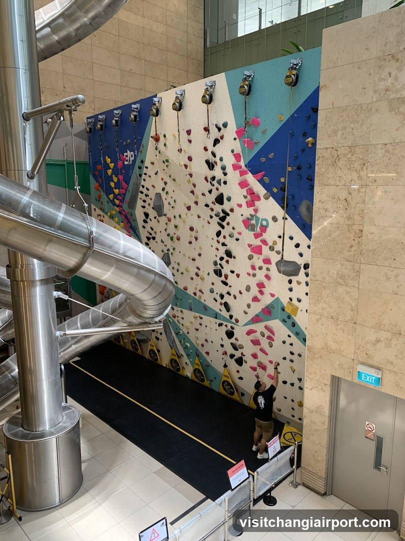 Indoor Rock Climbing Wall with Slide