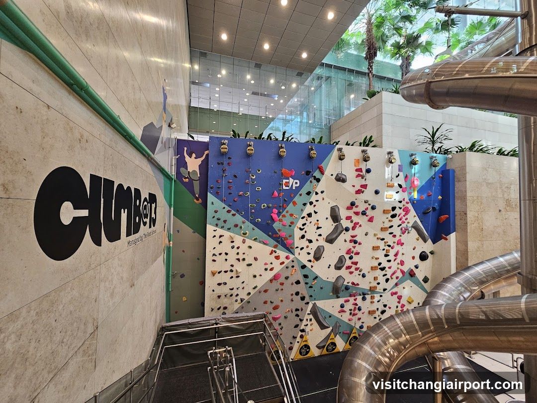 Climber Indoor Rock Climbing Wall