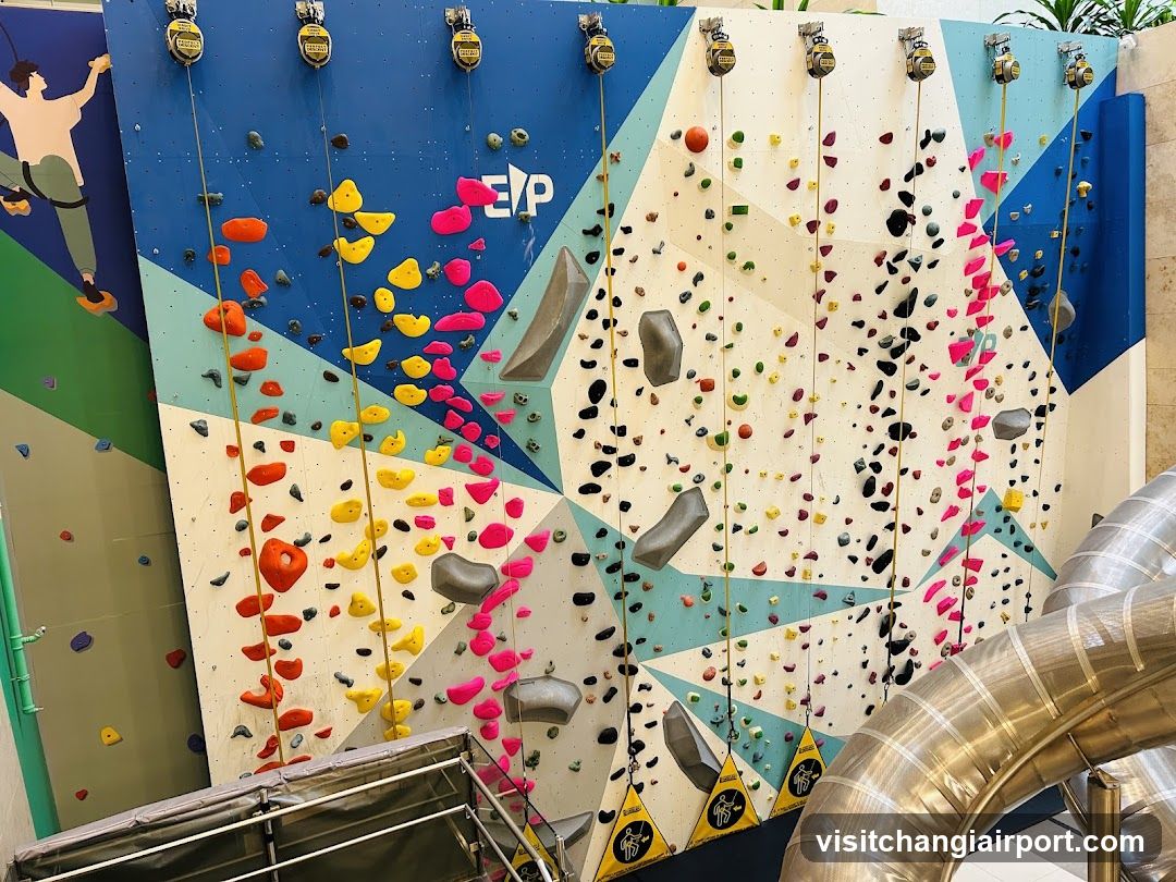 Indoor Rock Climbing Wall
