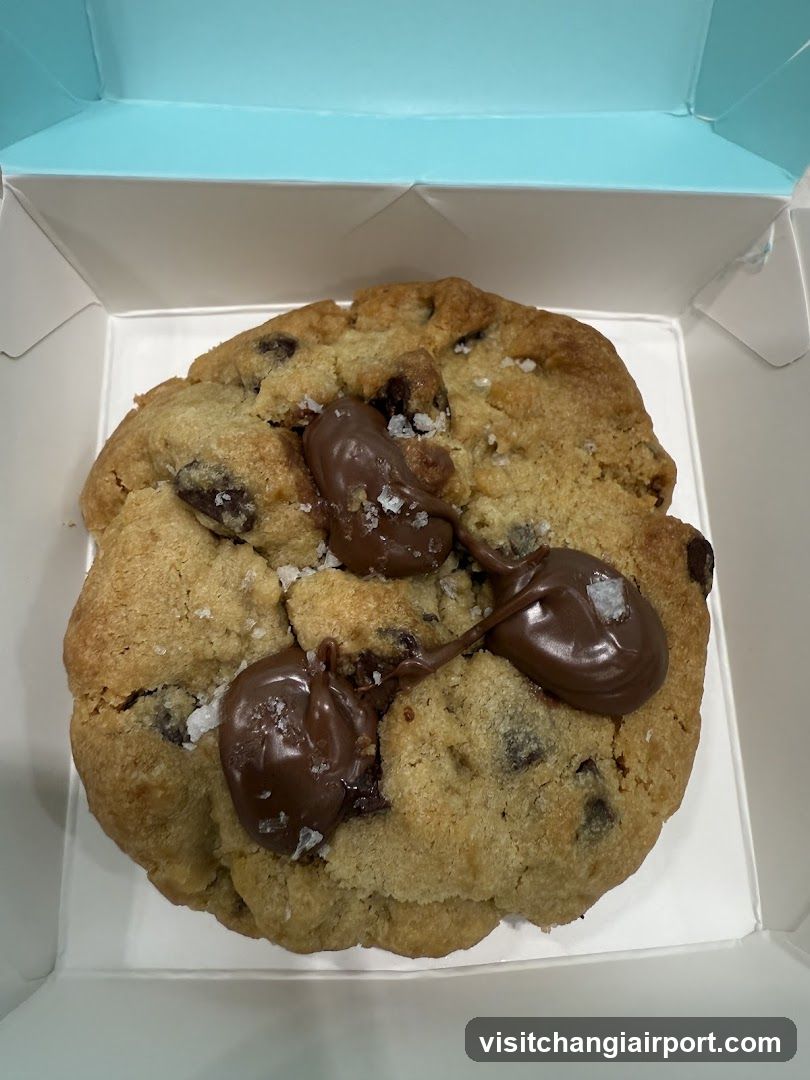 Chocolate Chip Cookie with Melted Chocolate and Sea Salt