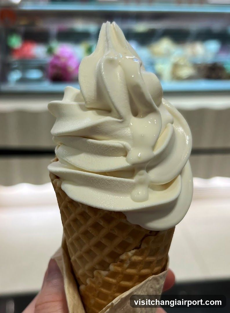 Soft-serve Ice Cream Cone