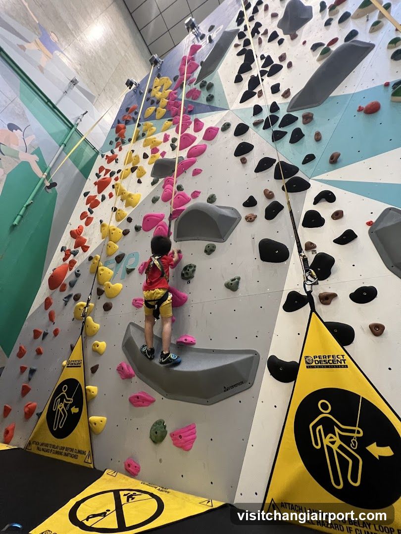 Indoor Rock Climbing Wall