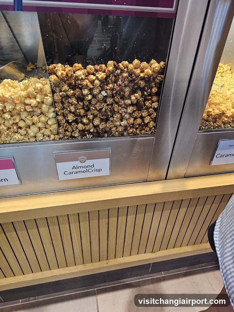 Popcorn Display Case