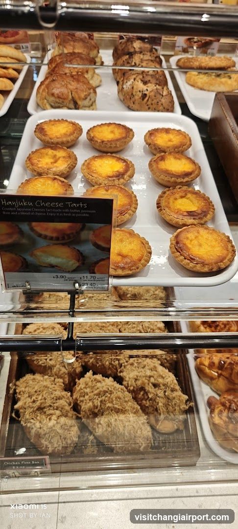 Bakery Display Case