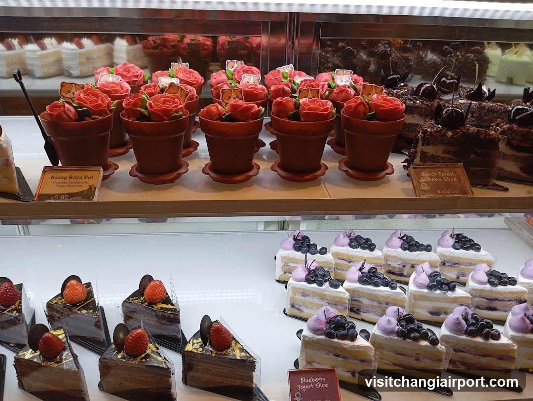 Cafe Display Case