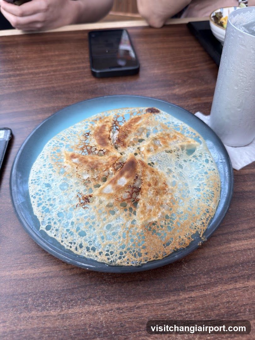 Gyoza on a blue plate