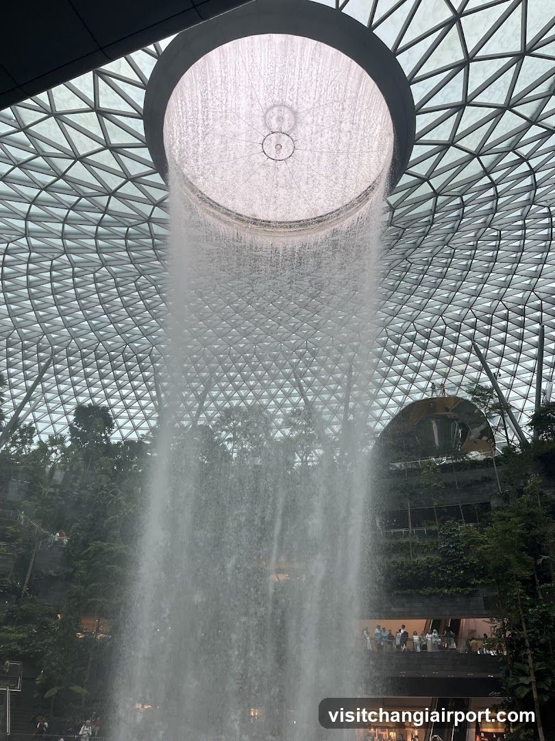 The Rain Vortex at Jewel Changi Airport