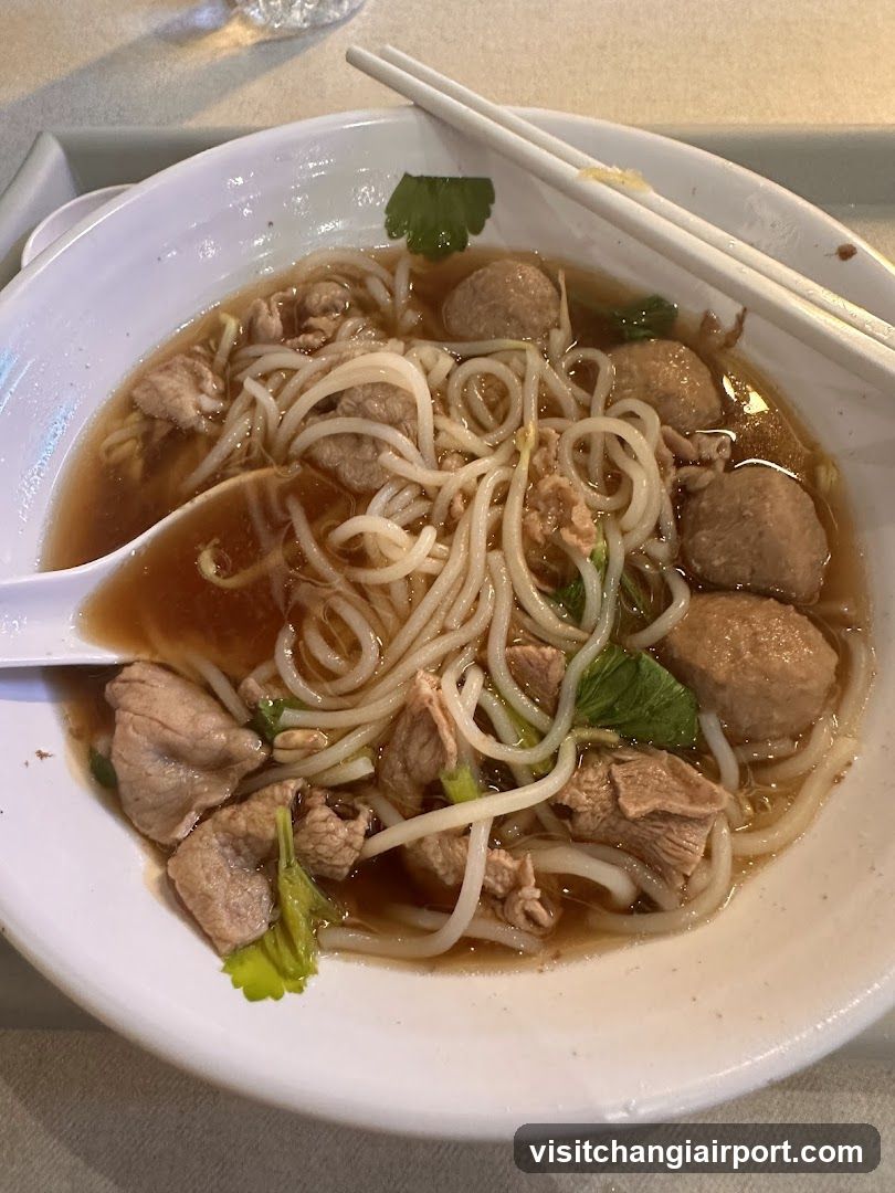 Bowl of Noodle Soup with Meatballs and Beef