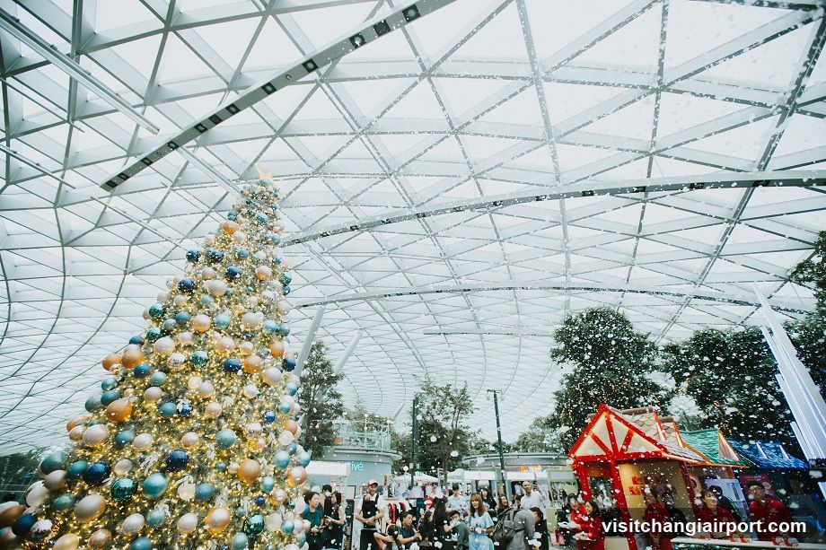 Jewel Cloud9 Piazza
