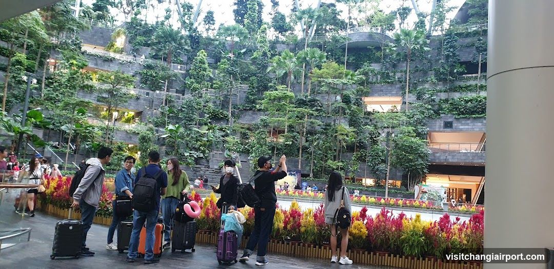 Travelers in a lush indoor garden mall