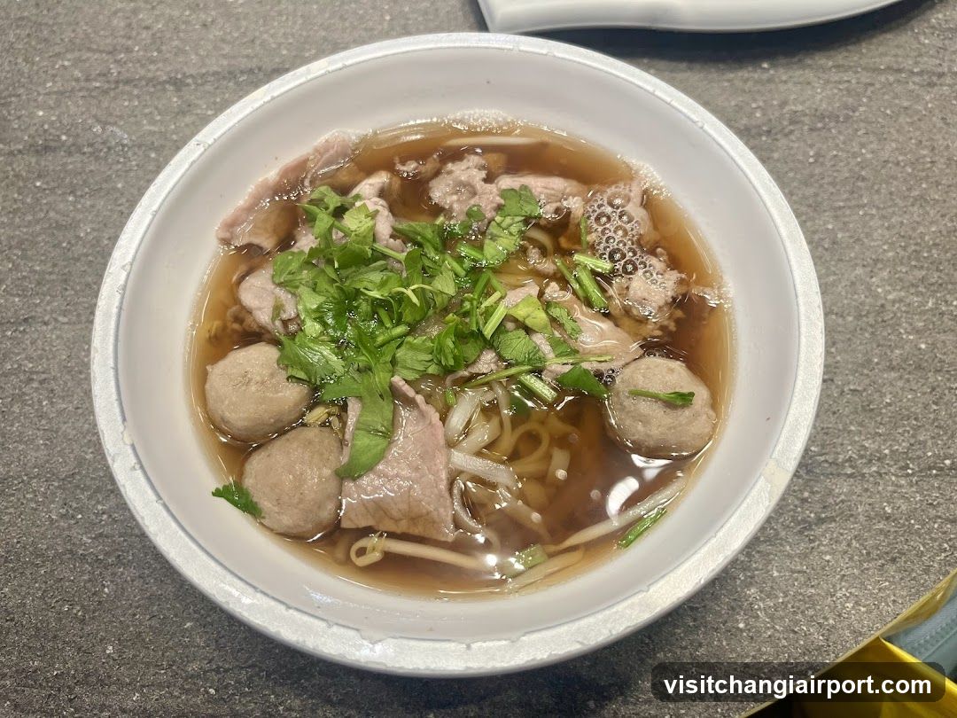 Bowl of Noodle Soup with Meatballs and Cilantro