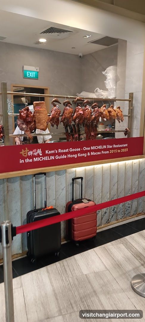 Roasted Goose Display