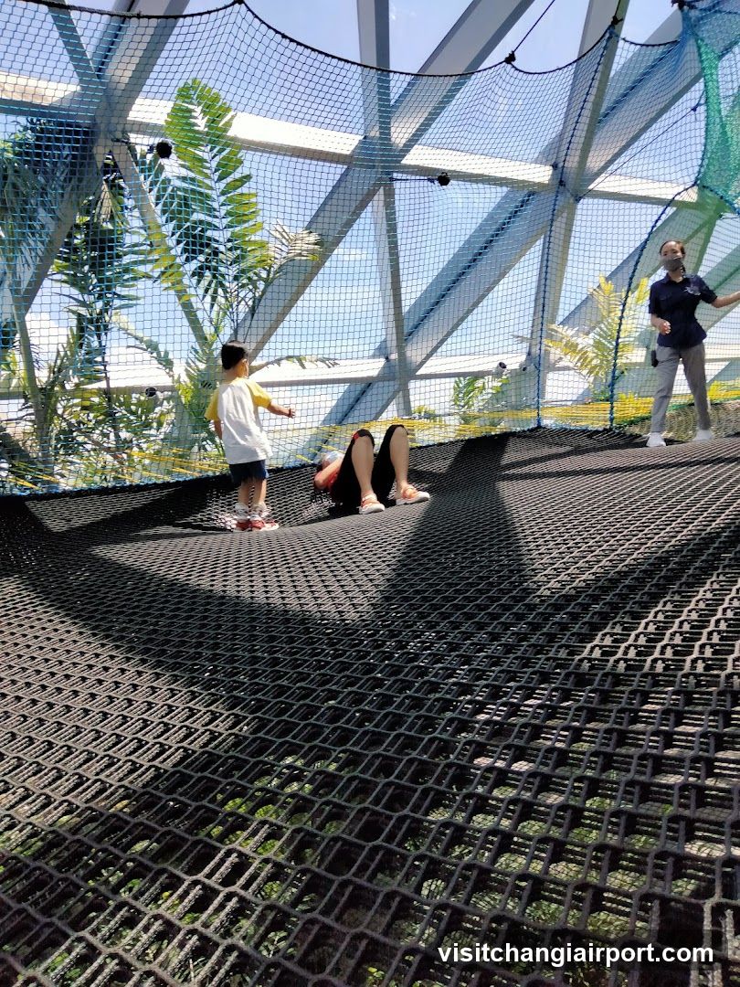 Outdoor Play Area with Netting Structure