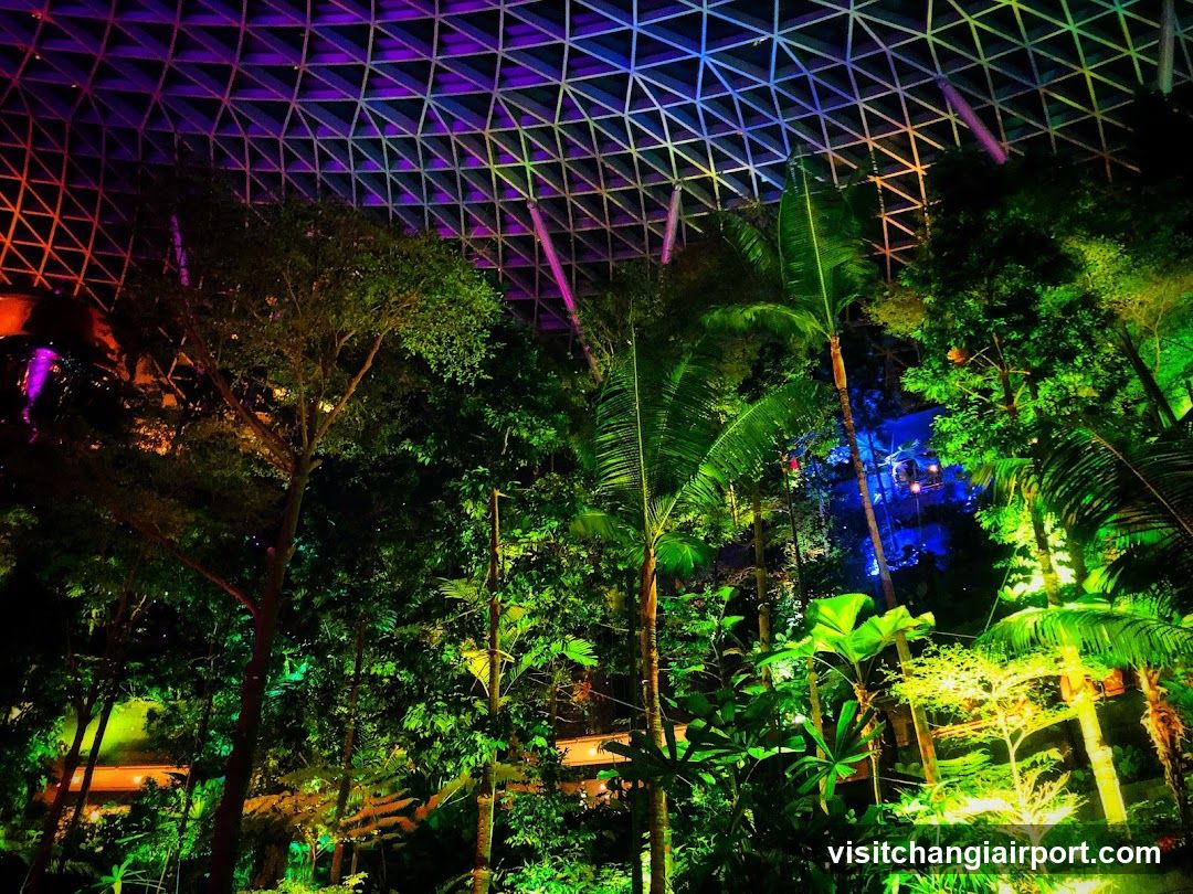 Indoor Tropical Garden at Night