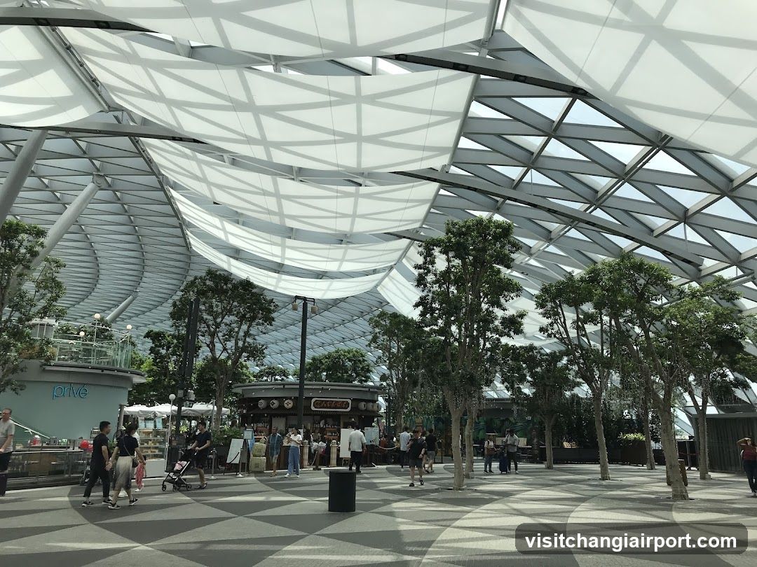 Indoor Market with Geometric Roof