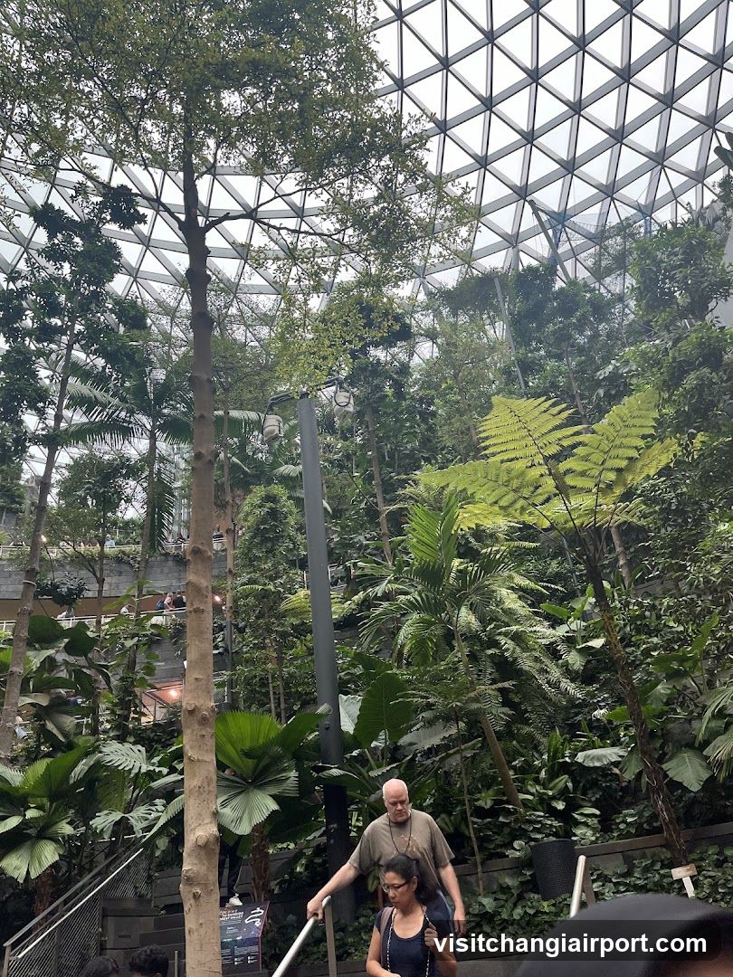 Indoor Tropical Garden with Visitors
