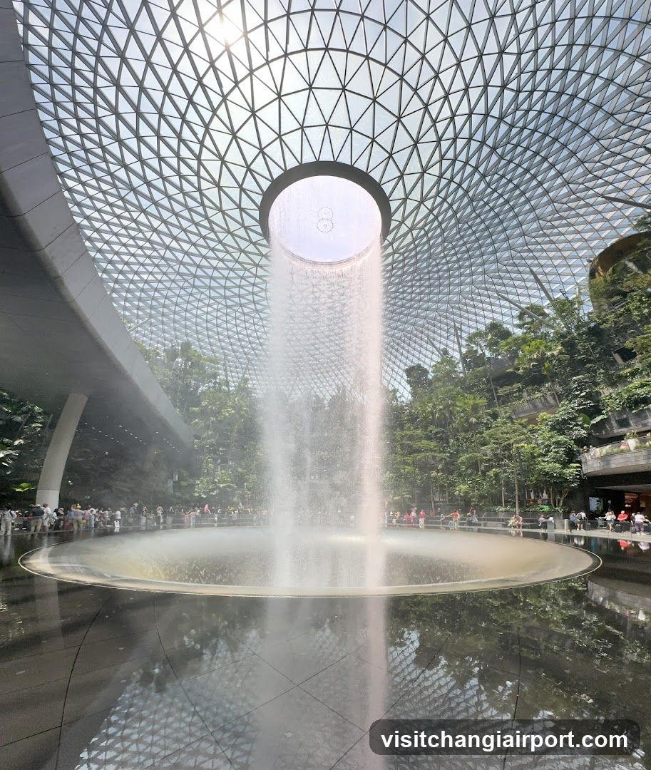 Cloud Forest Waterfall