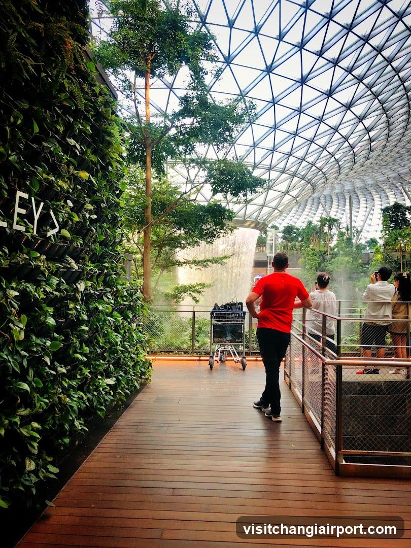 Indoor Garden View
