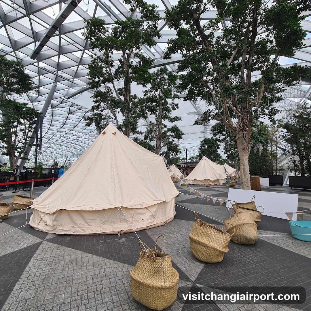 Camping setup in a glass dome