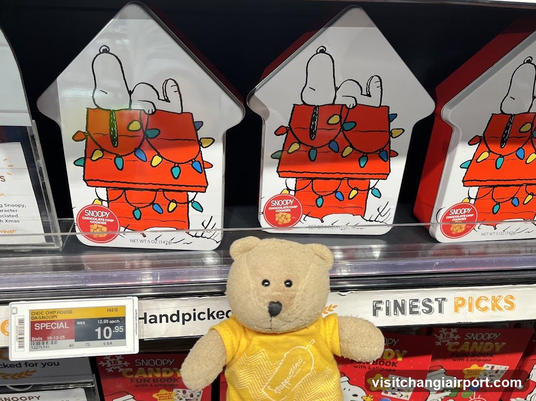 Snoopy House-shaped Candy Display with Teddy Bear