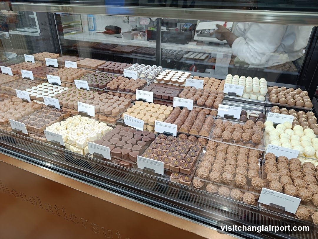 Chocolate Display Case