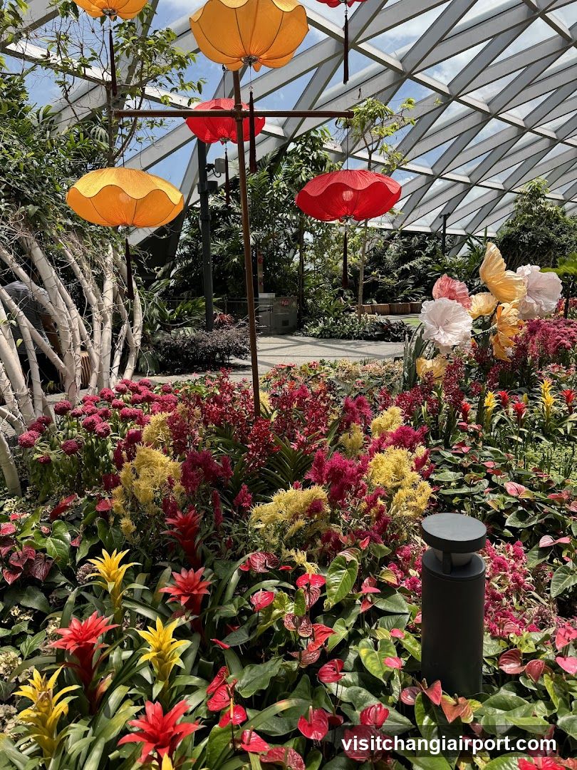 Flower Garden with Lanterns