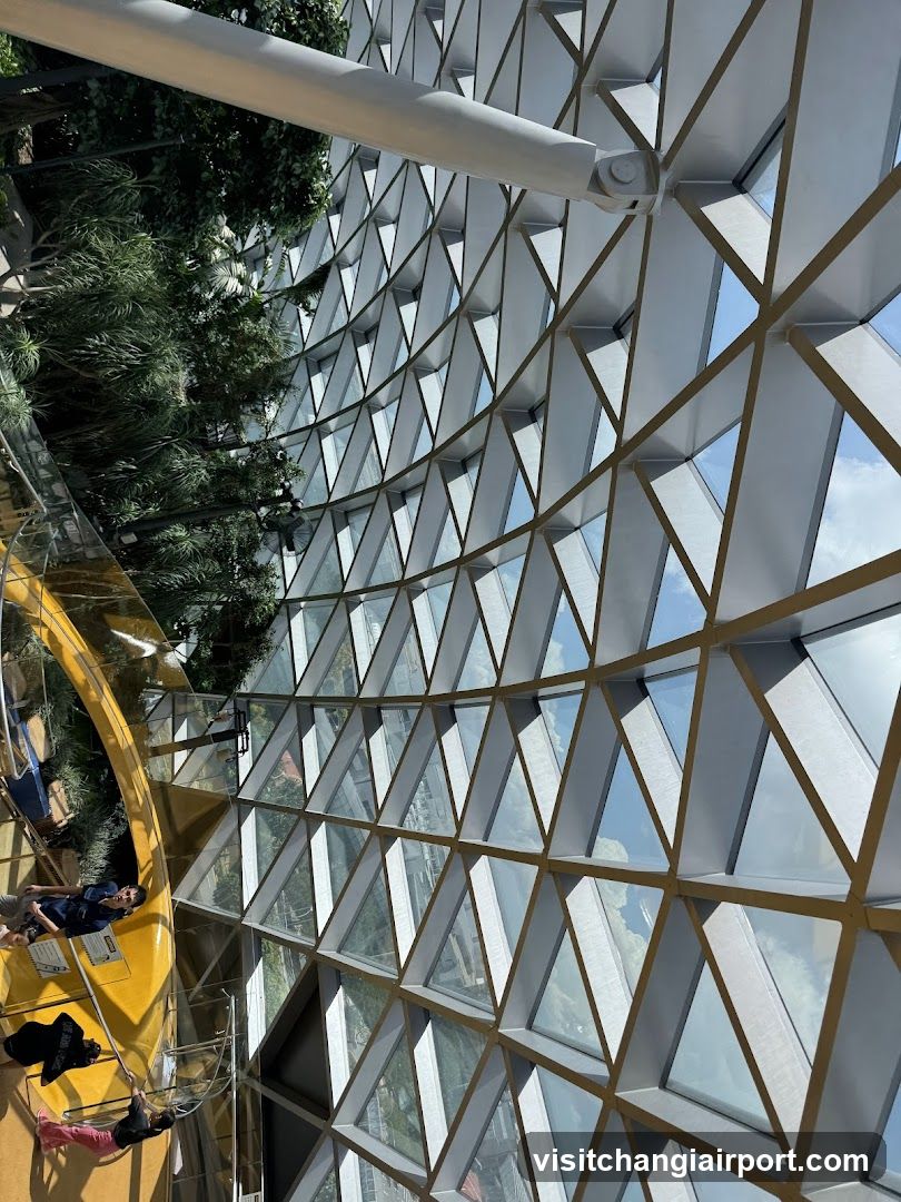 Geodesic Dome Interior View
